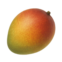 Ingredienti freschi per confettura: mango