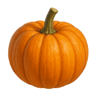 Ingredienti freschi per confettura: zucca nocciola