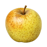 Ingredienti freschi per confettura: mela renetta